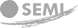 Spanish Society of Internal Medicine (SEMI)